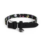 Designer stor hundhalsband av Omlet