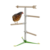 Kyckling i det fristående perch-systemet