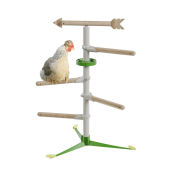 Kyckling i det fristående perch-systemet