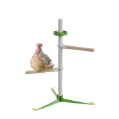 Kyckling i det fristående perch-systemet fjäderkit