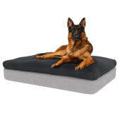 Hund som sitter på stor Topology hundbädd i minnesskum med grått bönsäckstopp