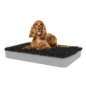Välj en snygg topp som passar ditt hem så att din hund kan slappna av där du är.