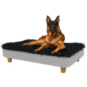 Tysk schäferhund sitter på den stora Topology upphöjda hundbädden