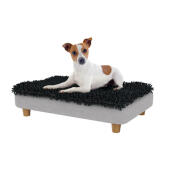 Jack russell i den lilla Topology hundsängen