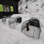 Tre Omlet Eglu Go kaninhäckar i trädgården som är täckta av Snow