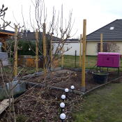 Lila Eglu Cube stort hönshus i trädgården