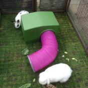 Miffy och smudge njuter av sitt nya hus och sin nya tub.