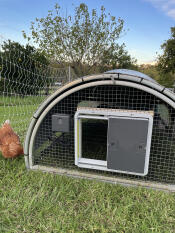 Automatisk kycklingdörr