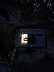 Kyckling i ett Cube stall med ljus på natten