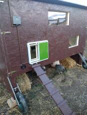 Trähus med Omlet grönt automatiskt hönshus med dörr