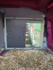 En grå automatisk dörröppnare monterad inuti ett hönshus i rosa plast.