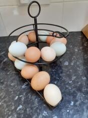 Det ser fantastiskt ut med alla våra ägg i olika färger, en riktig köksupplevelse!