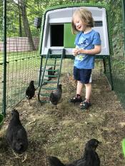Bara en pojke och hans kycklingar 