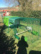 Ett stort grönt Cube hönshus i trädgården med en löpning, ett lock, en sittpinne och foderskålar.