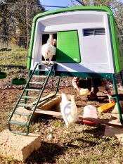 Omlet grönt Eglu Cube stort hönshus med höns