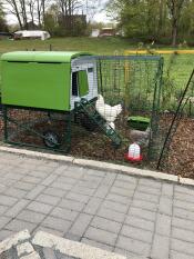 Omlet grönt Eglu Cube stort hönshus och utedass