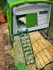 Omlet grönt Eglu Cube stort hönshus och utedass