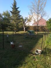 Ett Go uppbyggt hönshus bakom ett hönsstängsel med två höns i en trädgård.