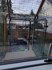 Trippel tycker om att vara utomhus - från fönstret till sin lekhage