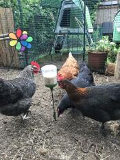 Poppy peck leksak
