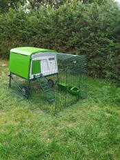Ett nymonterat Eglu Cube hönshus.