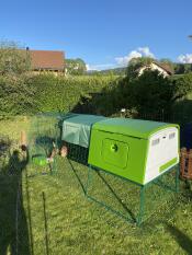 Stort grönt hönshus med en löpning, ett lock och en foderautomat för höns