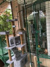 Omlet catio med kattträd och katt i det