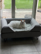 En fluffig vit katt som njuter av sin stora grå säng med en kudde