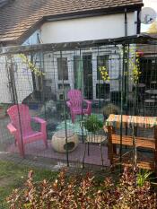 Fifi och hennes catio
