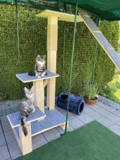 En kattplattform i en Omlet catio.