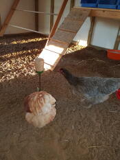 Pickleksaken Poppy,
