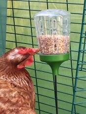 Kyckling med Omlet peck leksak