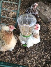 Poppy peck leksak 