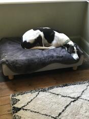 Blitz kunde inte vänta med att lägga sig i sin nya säng. 