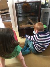 Barnen älskar att titta på sina nya husdjur i deras Qute