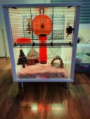 Led-lampor för syrianska hamster