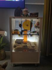 En hamsterbur i ett rum