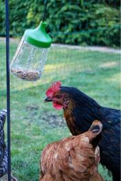 FavoritGodis i rocky peck leksaken 