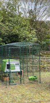 Grönt Eglu Cube stort hönshus inuti Omlet hönsgård