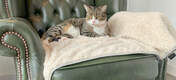 Katter kommer älska att vila på denna supermjuka filt när det är dags för eftermiddagstuppluren.