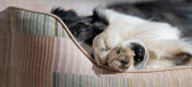 Mönsterdetalj av den stödjande och bekväma Omlet nest hundbädden