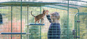 Man klappar katt inuti Omlet catio med Freestyle kattträd utomhus