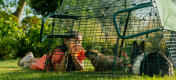 Ett barn som matar sin kanin med vattenmelon genom löpbanans nät.