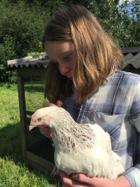 Hermionie Hen kommer hem!