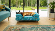 Schäferhund liggandes på en bäddsoffa med blå doodle-hundtryck