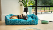 Schäferhund som ligger i en blå hundbädd i en modern bostad