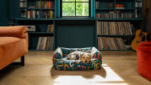 Hund som ligger på en färgglad säng i ett mysigt läsrum