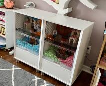 Lekrum gerbils