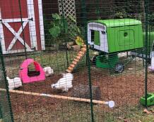 Omlet grönt Eglu Cube stort hönshus med höns