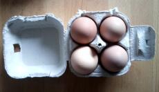 Omlet Egg Box